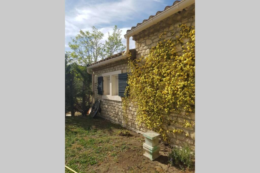Appartement 2 Pers Avec Acces Piscine Saint-Rémy-de-Provence Εξωτερικό φωτογραφία